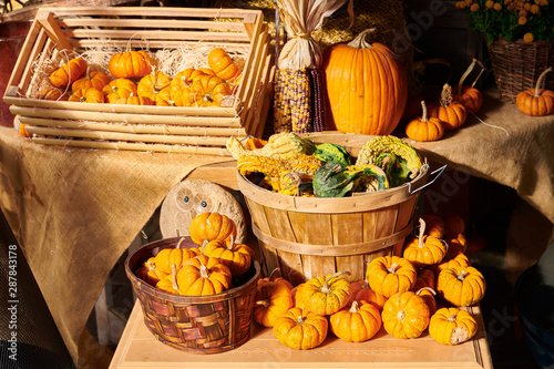 Pumpkin patch. Fresh pumpkins on a farm market still life, Connecticut, USA photo