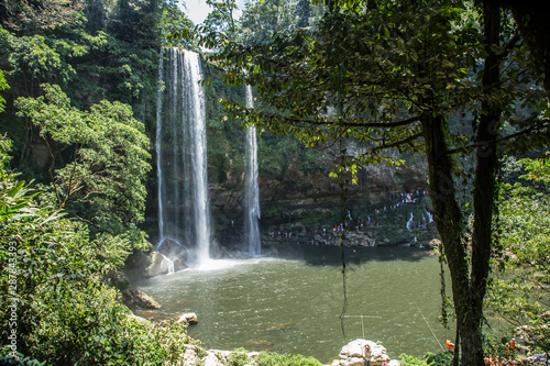 The Misol-Ha Waterfalls from a green tree. Chiapas, Mexico photo