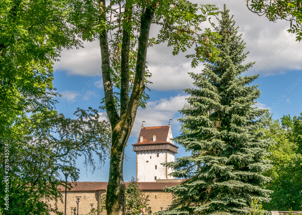 Narva or Hermann castle on a sunny day seen through trees. Narva or Hermann castle on a sunny day seen through trees.