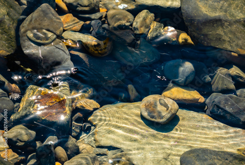 Seamless sea stones under the water in Black Sea. Stones and rocks of different sizes and texsture  black, gray and brown colors as nature background photo