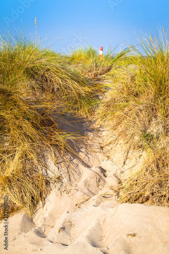 Summer Travel Destination at Coast / Dune landscape at sunny day in Mecklenburg, Germany - far away lighthouse at horizon (copy space)