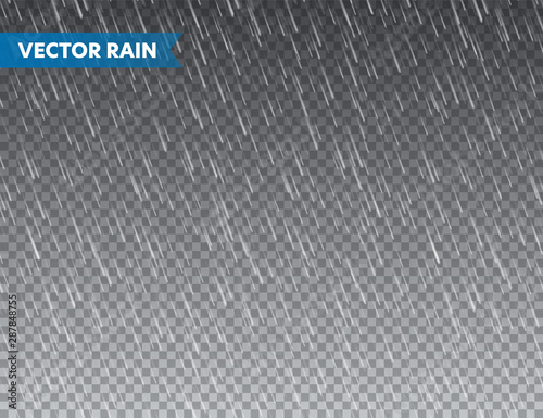 Realistic rain texture on transparent background. Rainfall, water drops effect. Autumn wet rainy day. Vector illustration. photo
