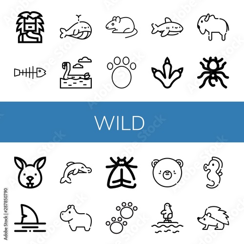 Set of wild icons such as Troglodyte, Fishbone, Whale, Flamingo, Rat, Animal, Shark, Claws, Bison, Pheidole, Bunny, Dolphin, Hippopotamus, Moth, Bear, Penguin, Seahorse , wild