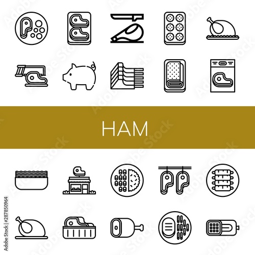 Set of ham icons such as Steak, Pig, Ham, Mutton, Meatball, Meatloaf, Chicken, Minced meat, Butcher shop, Meat, Ribs , ham