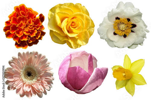 Six colors isolated on a white background.