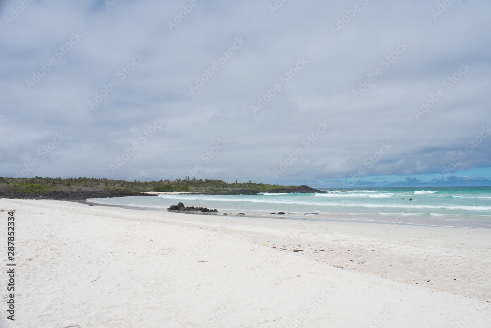 Tortuga Bay Tortuga Bay