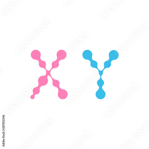 Sex Chromosome. XY chromosomes in molecular fluid design. vector symbol isolated on white background.