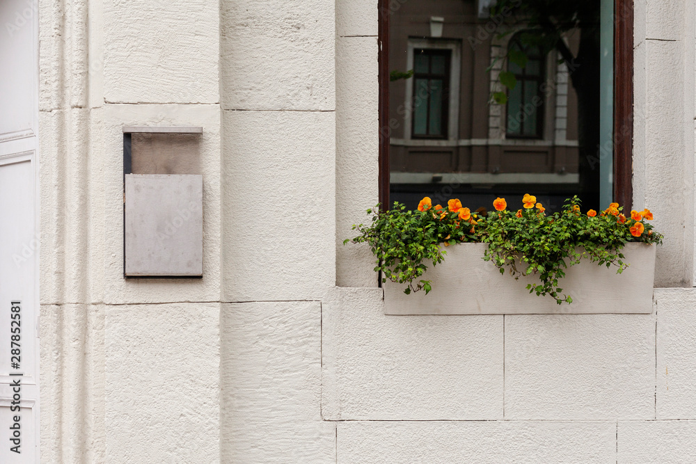 White wall with a mailbox and flowers in front of the window White wall with a mailbox and flowers in front of the window