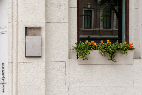 White wall with a mailbox and flowers in front of the window