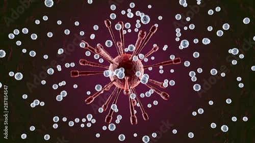 3D rendered Anatomy visualisation of Leukocytes attacking a Virus in the human Body. photo