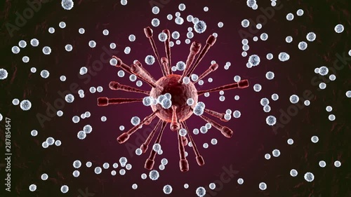 3D rendered Anatomy visualisation of Leukocytes attacking a Virus in the human Body.