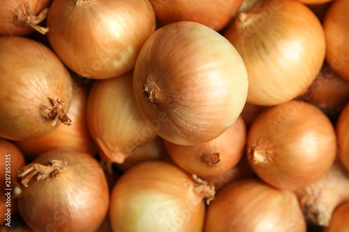 Ripe onion bulbs as background, top view