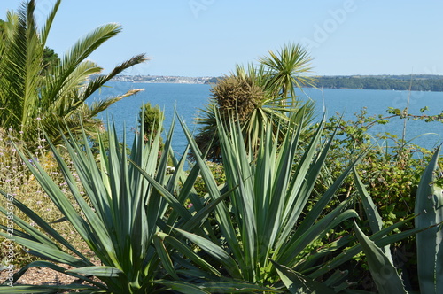 Views from coastal path from Paignton to Goodrington, Torbay, Devon