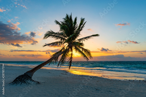 Fotografie A magic sunrise along the beach of Tulum with the silhouette of a coconut palm tree, Yucatan, Mexico