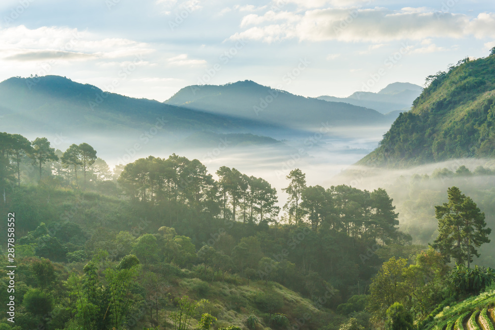 Mountain layer sunrise with fog cloud morning sky