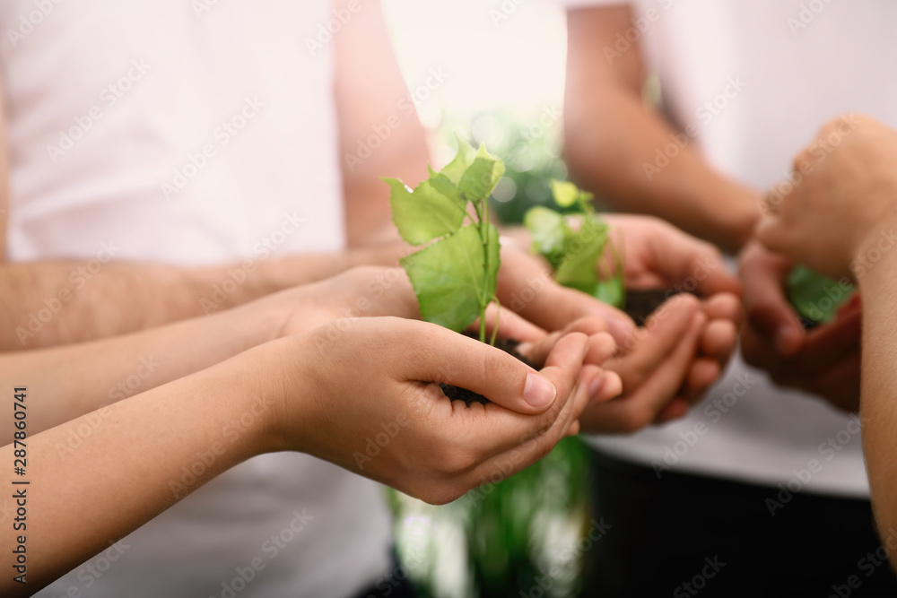 Group of volunteers holding soil with sprouts in hands outdoors, closeup Group of volunteers holding soil with sprouts in hands outdoors, closeup