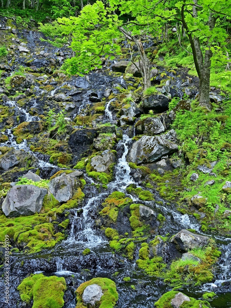 新緑に包まれたオンネトー湯の滝の情景＠北海道