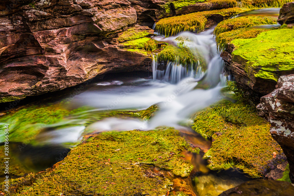 Caño cristales, Colombia Stock Photo Adobe Stock