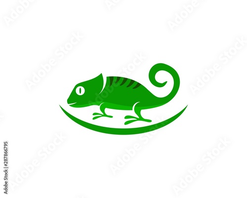 Lizard chameleon logo or icon template vector design