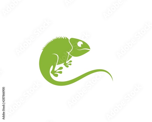 Lizard chameleon logo or icon template vector design