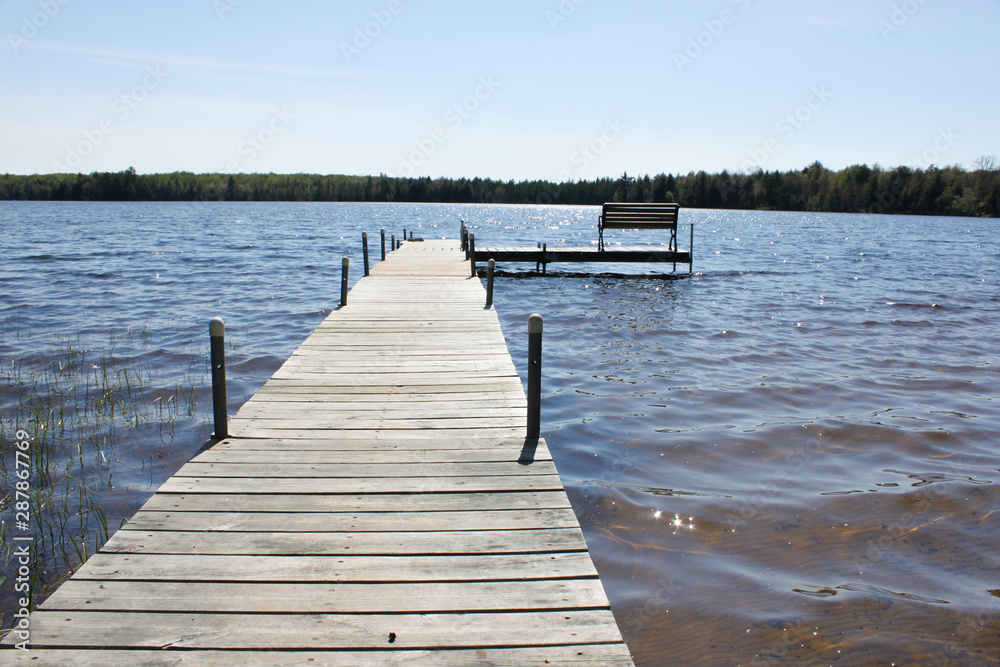 Obraz premium Visiting the lake