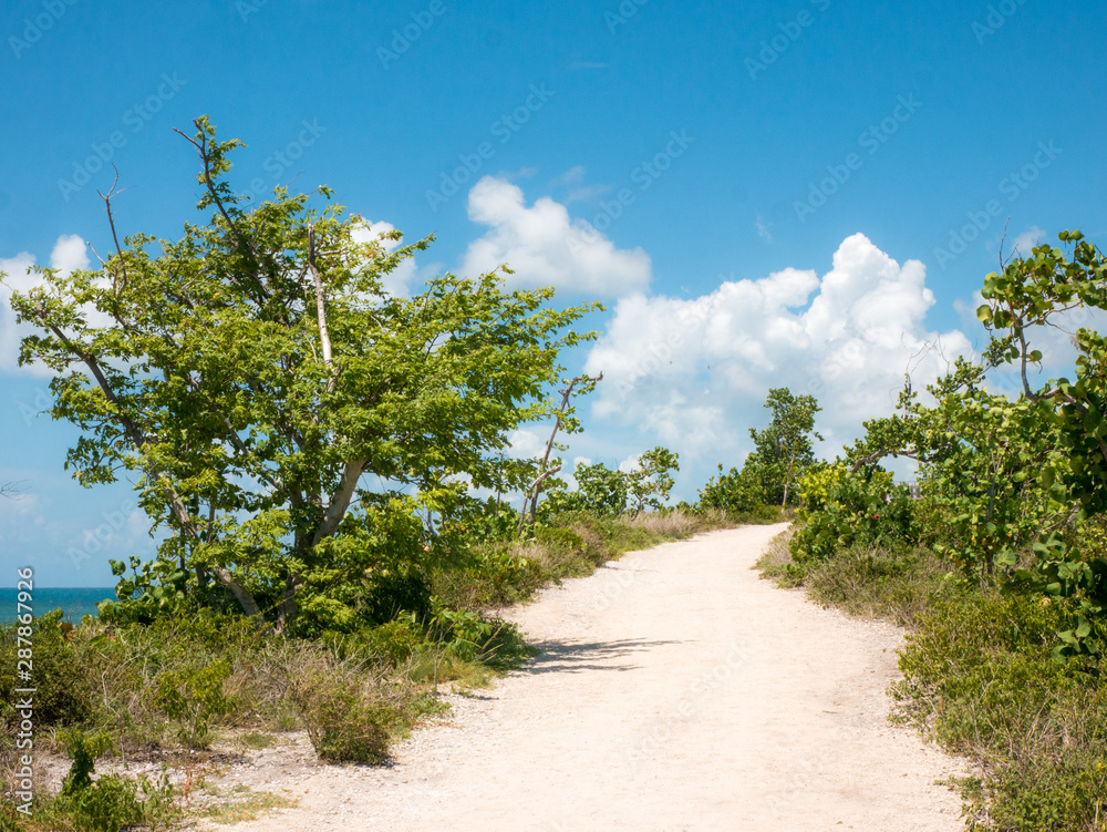 Footpath at Bahia Honda State Park on a hot sunny day. Bahia Honda is an island in the lower Florida Keys, USA. Travel and vacation concept.