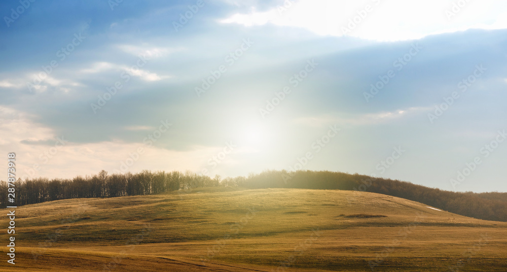 Wild Sunset and Forest Trees and Fields Nature