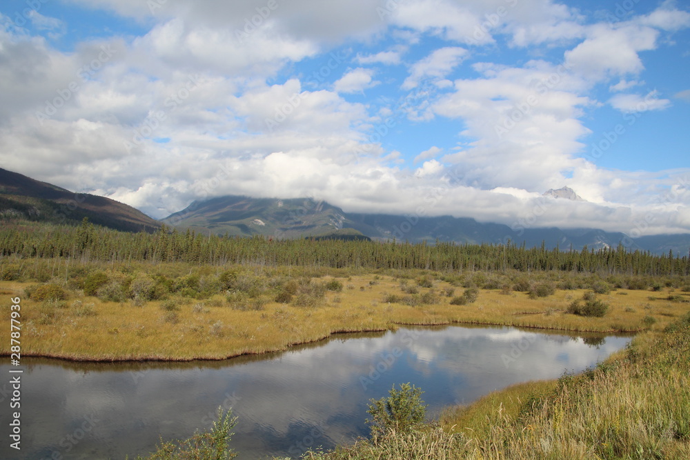 Wetlands By The Back Road, Jasper National Park, Alberta