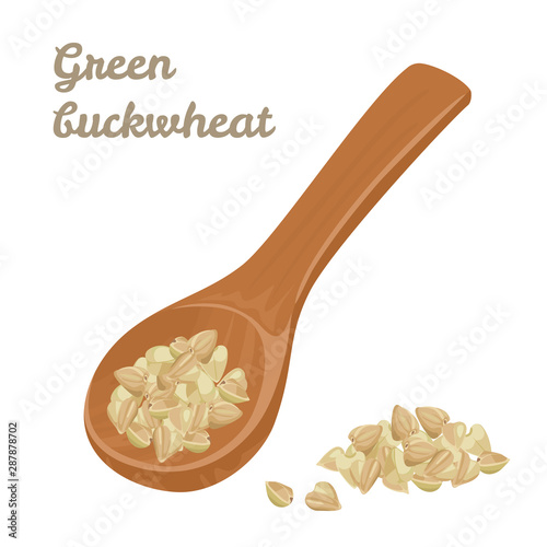 Green buckwheat in wooden spoon isolated on white background. Vector illustration of heap of healthy grains in cartoon flat simple style.