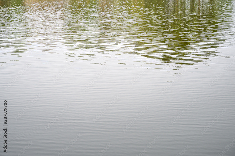 Circle water ripple with the nature reflections. Circle water ripple with the nature reflections.