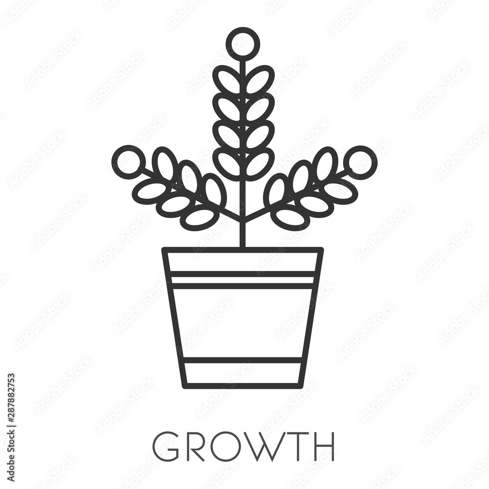 Money growth isolated icon, income or profit increase Money growth isolated icon, income or profit increase