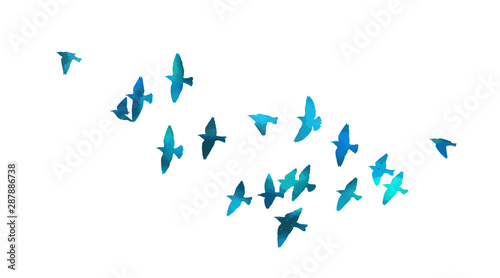 A flock of flying blue birds. Vector illustration