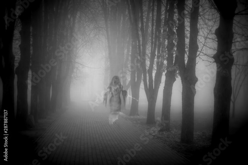 Fotografie, Obraz Creepy ghost in a foggy city park