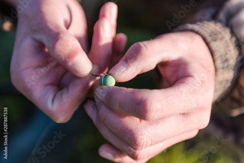 put bait on the hook. to put a worm on a hook. to put on a boyle on a hook. fishing. bait for fish.