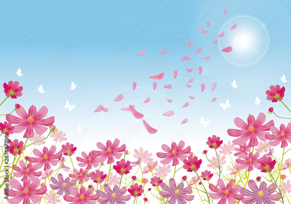 秋桜 花 花びら 秋 景色 風景 コスモス祭り 満開 蝶 Stock ベクター Adobe Stock