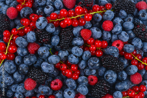 Blackberry, raspberry, blueberry, red currant and mint background.