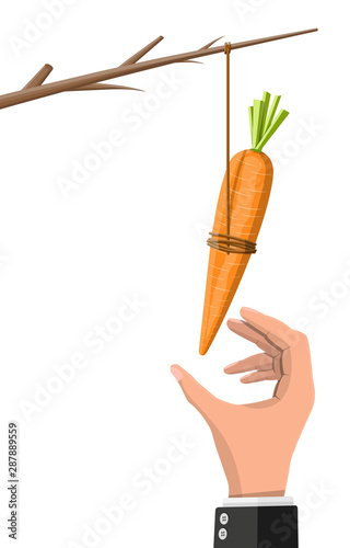 Carrot on a stick in hand. Motivation, stimulus, incentive and reaching goal concept metaphor. Fishing wooden stick with hanging carrot