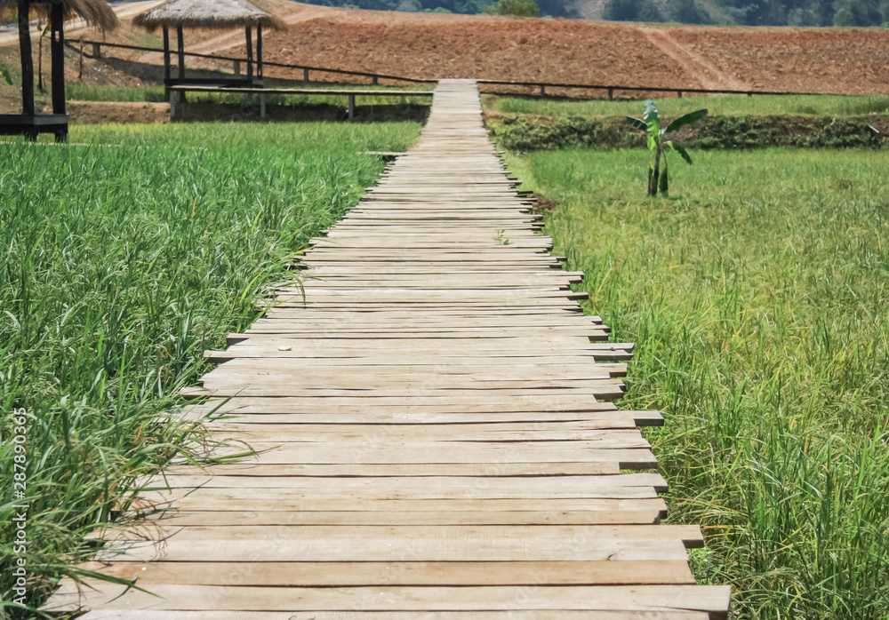 A bridge over a country field