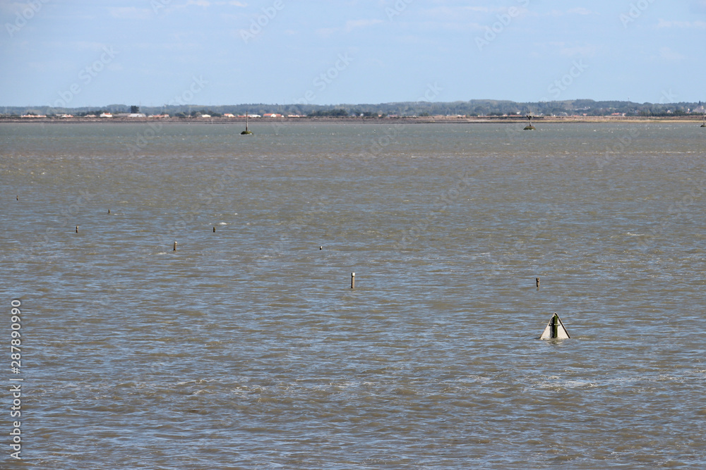 gois road on noirmoutier island (vendee - france) 