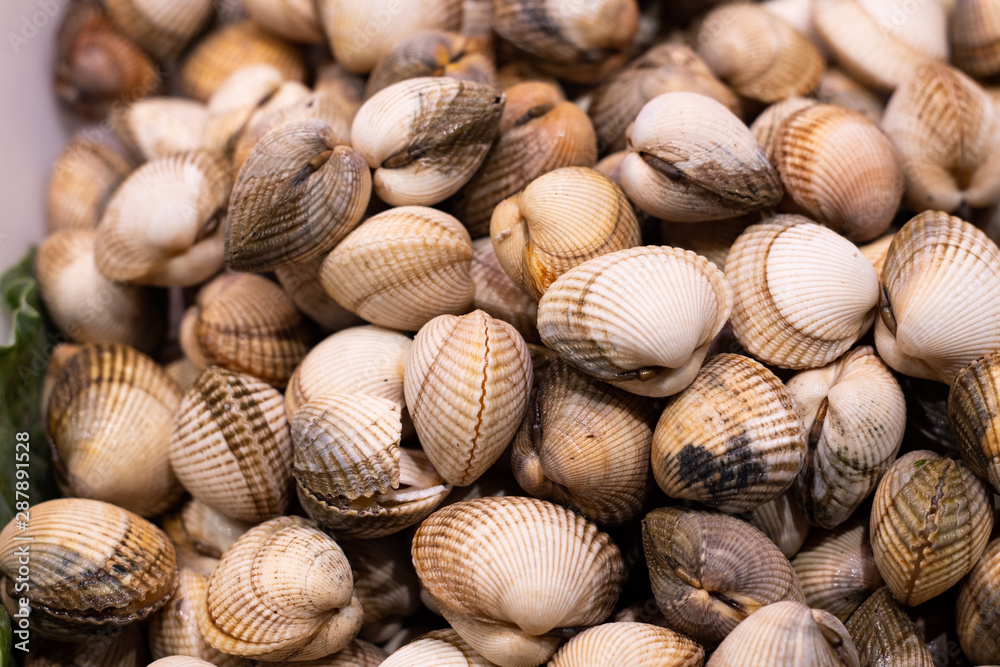 many whole raw clams on the market many whole raw clams on the market