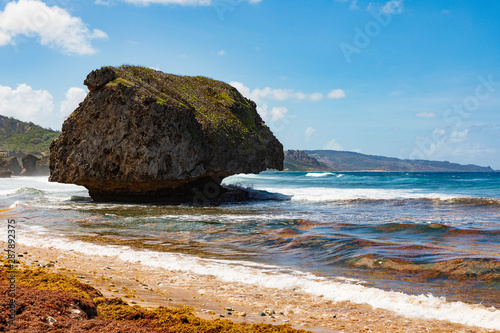Bathsheba beach, Felsen an der Ostküste von Barbados, eine tropische Insel in der Karibik.