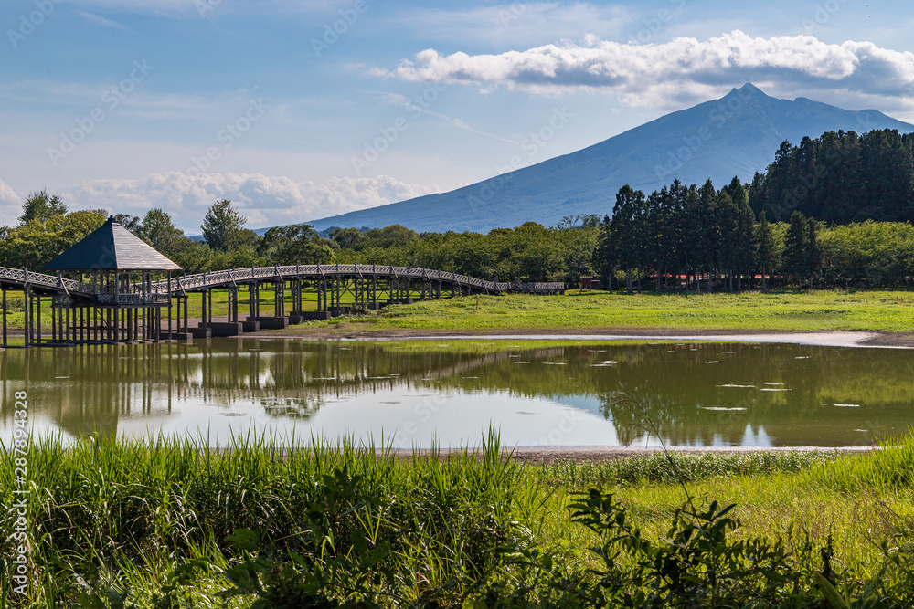 Fototapeta premium Autumn fresh lake and bridge