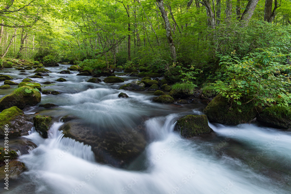 Refreshing Oirase mountain stream in autumn Refreshing Oirase mountain stream in autumn