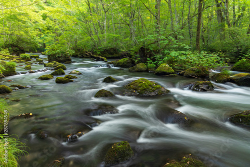Bild auf Leinwand Refreshing Oirase mountain stream in autumn