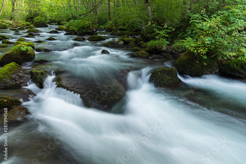 Refreshing Oirase mountain stream in autumn