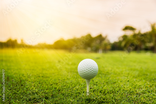 A white golf ball on golf pin green grass near hole with golf course background , green tree sun rays. 