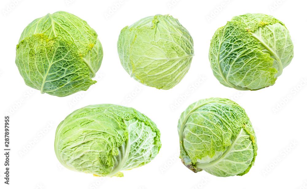 Fototapeta premium various fresh savoy cabbages cut out on white