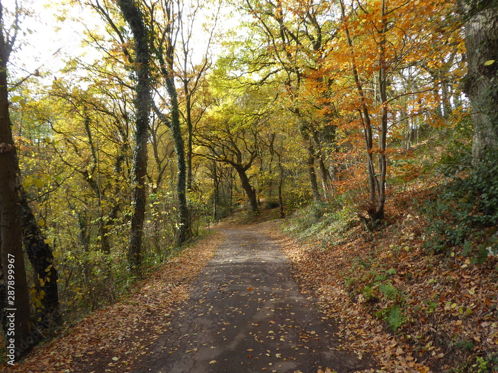 Goldener Herbst