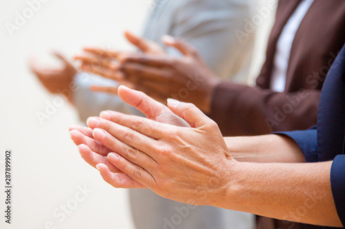 Fényképezés Business people applauding speaker during training