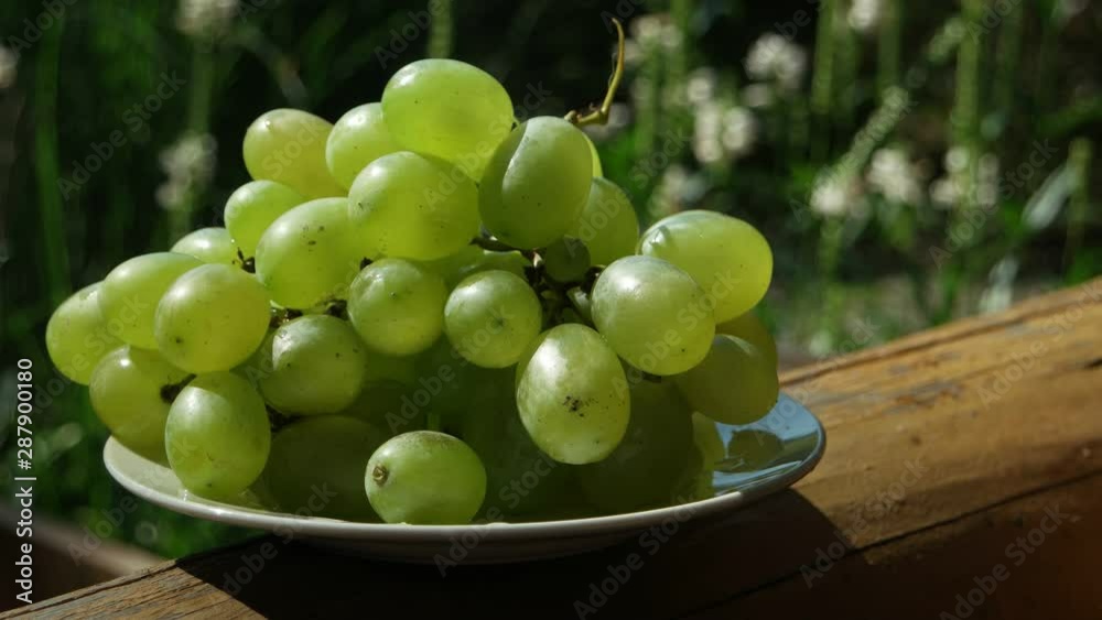 Plate with ripe grapes is lit by the sun in the wooden pavilion against the background of the white flowers in a summer garden Plate with ripe grapes is lit by the sun in the wooden pavilion against the background of the white flowers in a summer garden